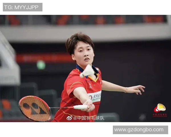 杭州羽毛球队精英赛战术分析与表现评估全景解读