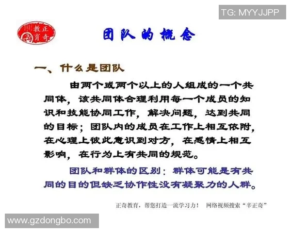 深圳排球队技术探讨：提升团队协作与个人技能的关键策略